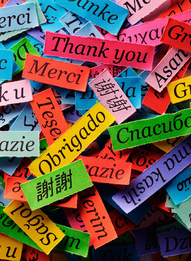 Sosyal Medya Hatası - Tek Dil Kullanımı