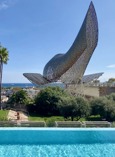 sadece oteli tanıtmak